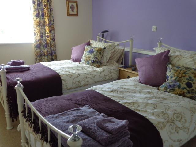 Lodge House B&B Buckland St Mary Habitación foto