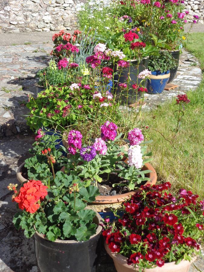 Lodge House B&B Buckland St Mary Exterior foto
